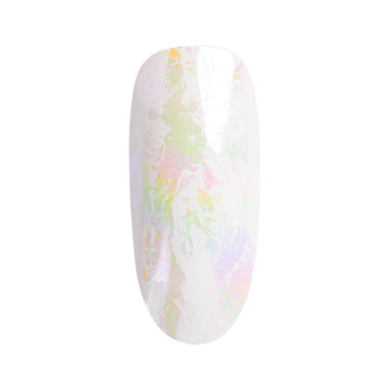 Papel de transferencia 10 SEASHELL