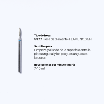 Kit de fresas -ADVANCED