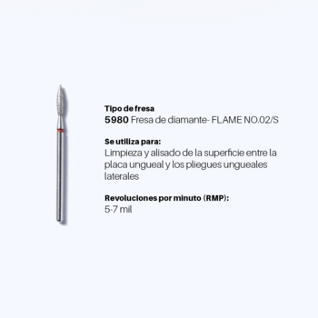 Kit de fresas -ADVANCED