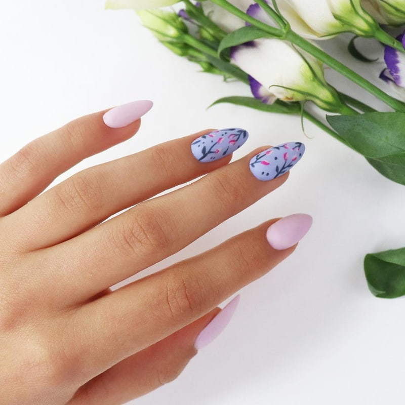 Delicadeza de primavera